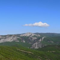 Природа Крыма :: Amazing Cosmea