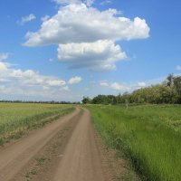 Мои дороги. :: Виктор 