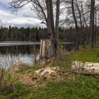 Хорошая работа. :: Yuri Chudnovetz