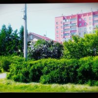 Летний май. :: Игорь Солдаткин