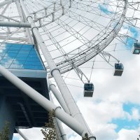 Тише едешь - выше будешь! :: Татьяна Помогалова