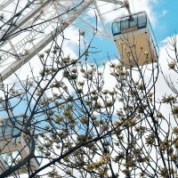 С прозрачным полом 5 кабин. :: Татьяна Помогалова С прозрачным полом 5 кабин. :: Татьяна Помогалова