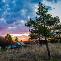 Утро :: Петр 