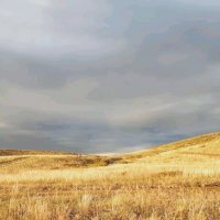 Гроза приближается :: Георгиевич Гроза приближается :: Георгиевич