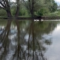 *** :: Валентина Береснева
