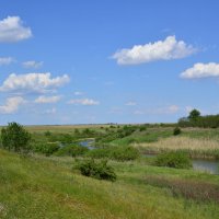 Местные виды. :: Виктор 