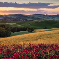 Майский пейзаж :: Алекс Римский