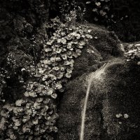 Маленький ручеёк :: Вениамин Скородумов