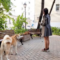 *** :: Владимир Захаров