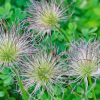 Прострел :: Павел Трунцев Прострел :: Павел Трунцев