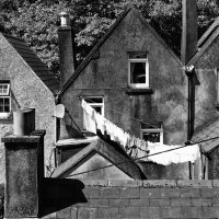 Повседневные заботы... :: Elena Ророva Повседневные заботы... :: Elena Ророva