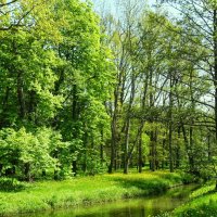 Мызный парк в посёлке Виймси :: Aida10 Мызный парк в посёлке Виймси :: Aida10