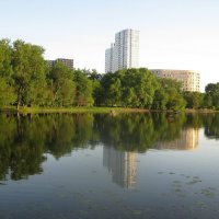 Отражение :: Дмитрий Никитин