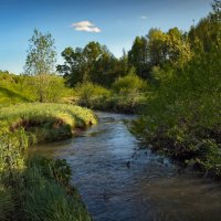 "У извилистой речки в конце мая. Пара облаков"© :: Владимир Макаров