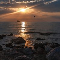 Закат :: Виктор 
