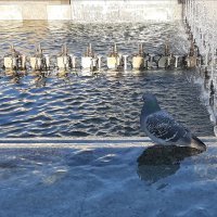 У фонтана :: Наталья Герасимова