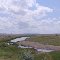 Степная речка :: Георгиевич Степная речка :: Георгиевич