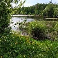 Летние мотивы :: Андрей Лукьянов