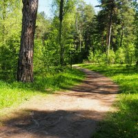 В пригороде Смоленска. :: Милешкин Владимир Алексеевич 