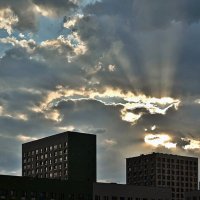 Злая обезьяна захватило солнце :: Валерий Иванович