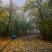 Падают листья....... :: Юрий Цыплятников