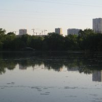 Пруд Головинский в мае :: Дмитрий Никитин