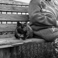 «Одна жизнь на двоих» - «С Шелей» :: Наталья Сафронова