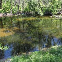 Вот и лето пришло.. :: Сергей 