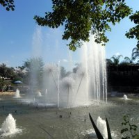 Поющие фонтаны :: Светлана Хращевская