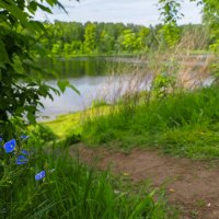 ***** :: юрий поляков ***** :: юрий поляков
