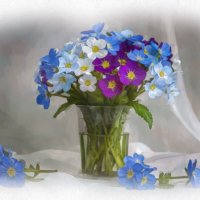 Первоцветы :: Aleksey Afonin Первоцветы :: Aleksey Afonin