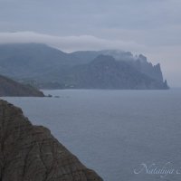 Природа Крыма :: Amazing Cosmea