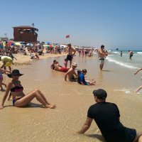 На нашем пляже. :: Светлана Хращевская На нашем пляже. :: Светлана Хращевская