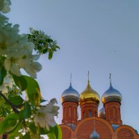 Всехсвятская церковь :: Анастасия Логинова
