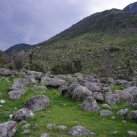 Курумы в долине Чулышмана :: Ольга Чистякова