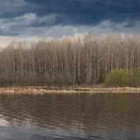 Aspen forest on the bank of the deep Bolshoy Puchkas River on a cloudy spring day | 4 :: Sergey Sonvar