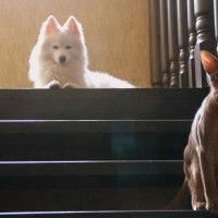 Друзья :: Елена Минина Друзья :: Елена Минина