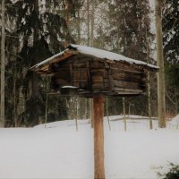 Древний холодильник :: Alexandra Sakharova