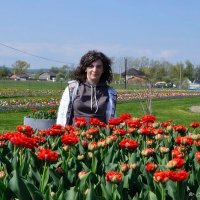 Наталя тюльпанове поле :: Степан Карачко