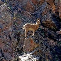 ПО ГОРАМ. :: Виктор Осипчук ПО ГОРАМ. :: Виктор Осипчук