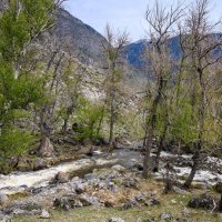 горные речушки :: Константин Шабалин