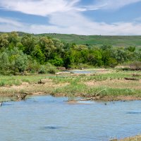 Река Кубань :: Игорь Сикорский