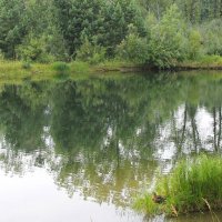 Утиный островок :: Василий Утиный островок :: Василий