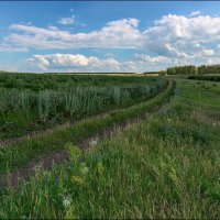 Проселок :: **** vedin