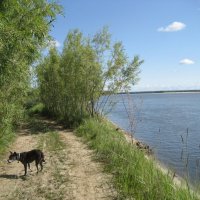 У протоки :: Anna Ivanova