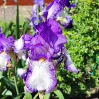 ,,, :: Сергей Тимоновский