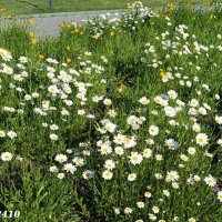 В ростовском экопарке :: Нина Бутко