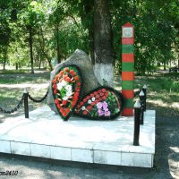 С Днём пограничника! :: Нина Бутко