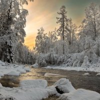 Линдуловская роща :: skijumper Иванов