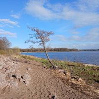 Финский залив в апреле. :: Лия ☼